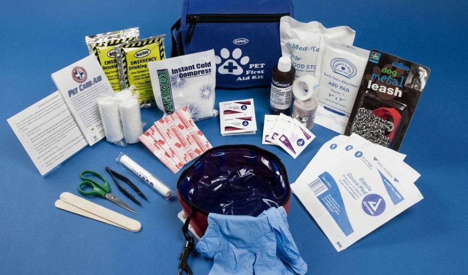What Should Be in a Pet Emergency Kit?