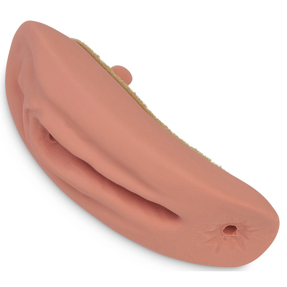 Life/form ALEX Female Accessory Kit