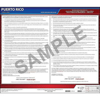 J. J. Keller Puerto Rico Working Women's Bill of Rights Law Poster - Laminated