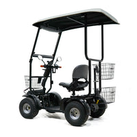 CheetaGolf Ninja Single-Rider 4-Wheel Street Legal All Terrain Mobility Scooter