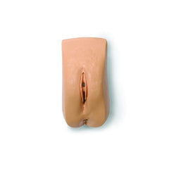 Laerdal Adult Female Genitalia