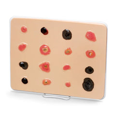 Heartsmart Life/form Skin Cancer Trainer