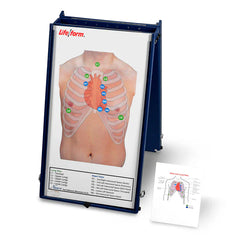 Heartsmart Life/form Anterior Auscultation Practice Board with Case Only