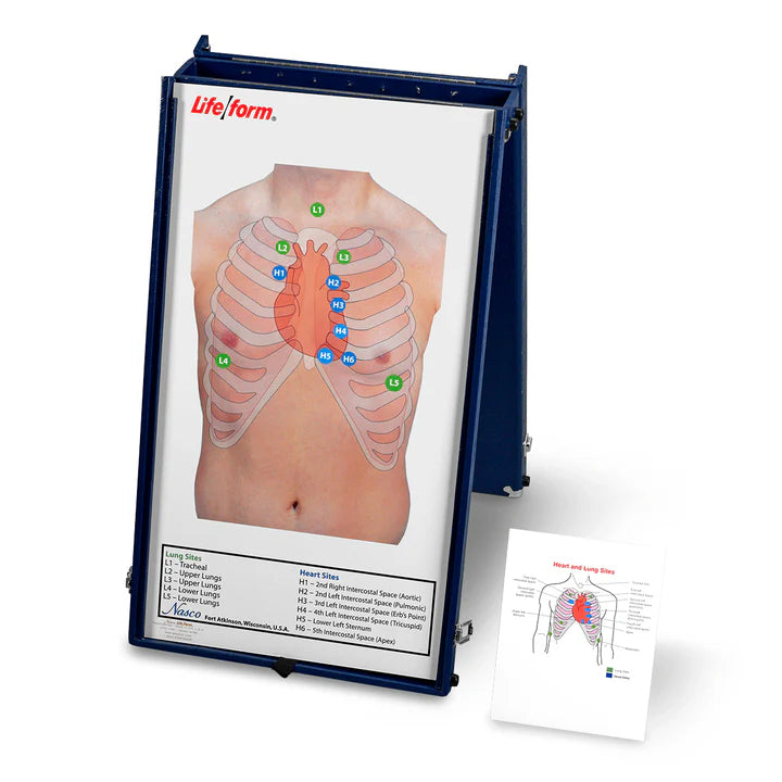 Heartsmart Life/form Anterior Auscultation Practice Board with Case Only