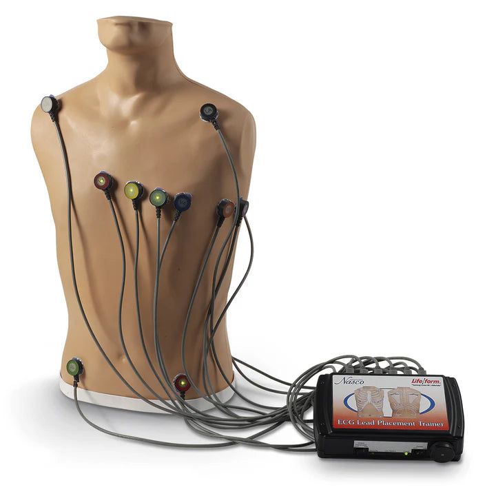 Heartsmart Life/form 15-Lead ECG Placement Trainer