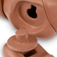 Life/form KERi⢠Complete Nursing Skills Manikin (Medium)