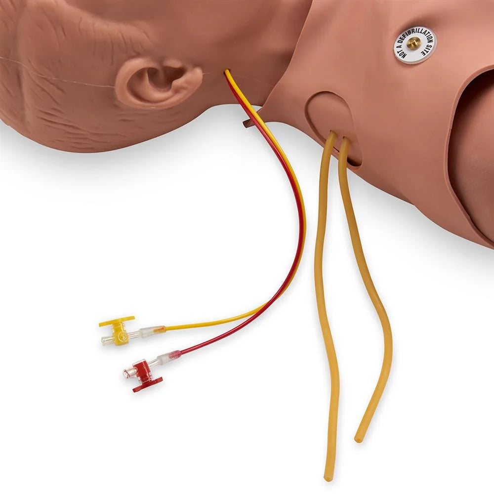 Heartsmart STAT Manikin with Deluxe Advanced Airway Management Head