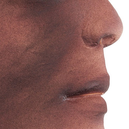 Heartsmart Simulaids 1st, 2nd, 3rd Degree Face Burns