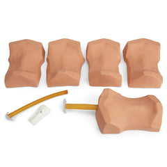 Heartsmart Simulaids Deluxe Cricothyrotomy Trainer