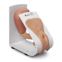 Simulaids Female Catheterization Training Model