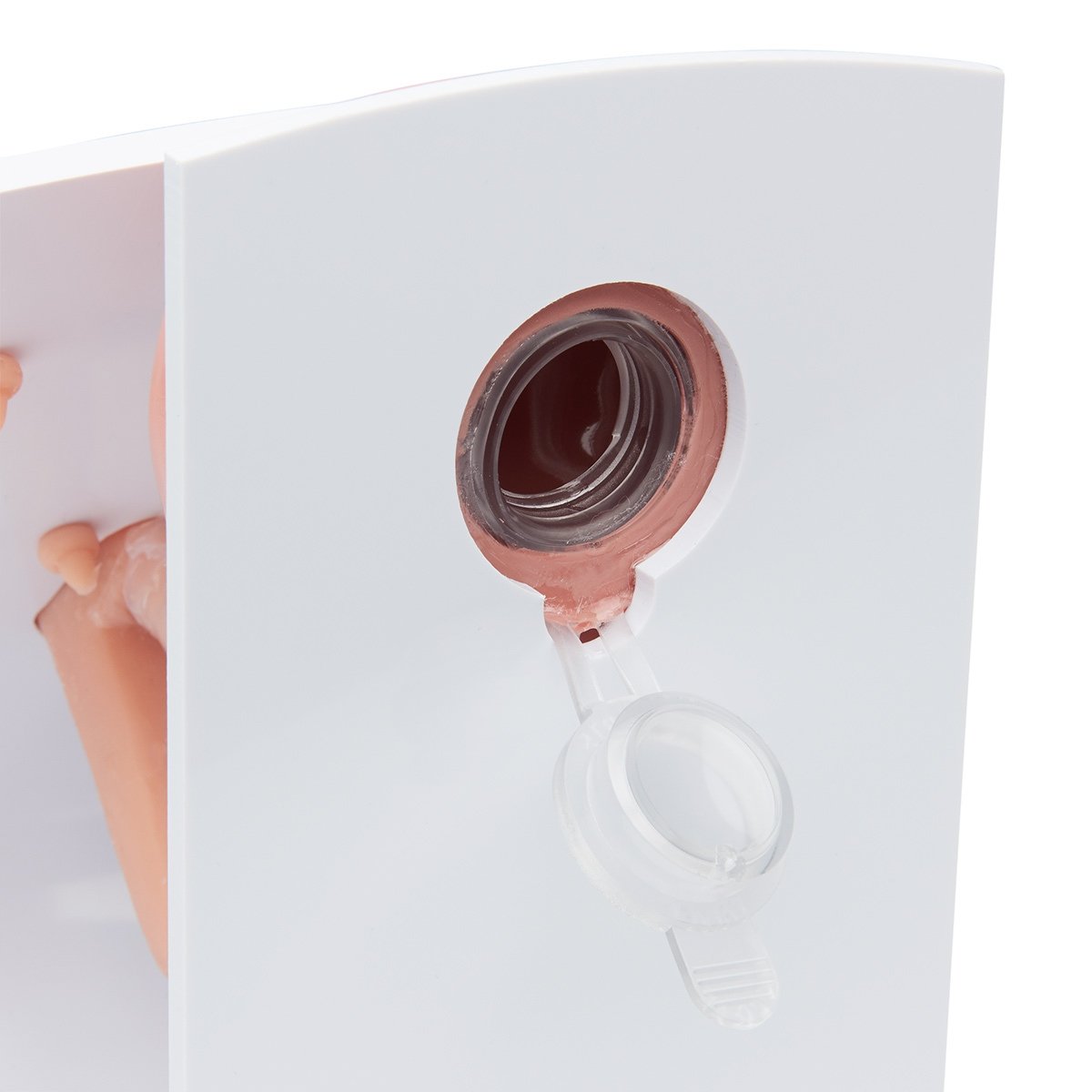 Heartsmart Nasco Male & Female Catheterization Trainer Set