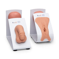 Heartsmart Nasco Male & Female Catheterization Trainer Set