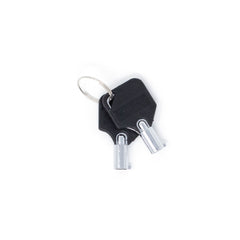 Cubix Safety Spare Keys for Alarmed Cabinets