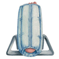 Skil-Care Bilateral Anti-Rotation Gripper/Wedge