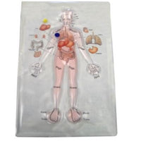 Skil-Care Human Anatomy Gel Maze