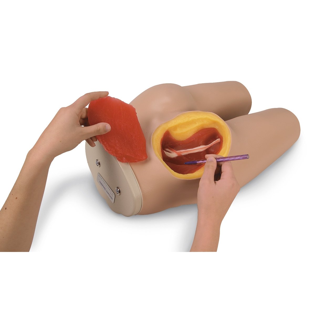 Heartsmart Life/form Intramuscular Injection Simulator