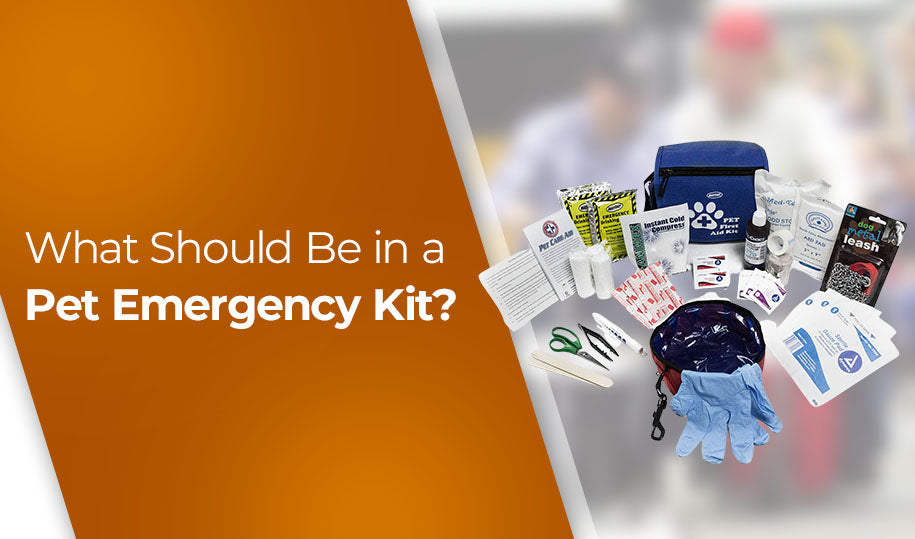 What Should Be in a Pet Emergency Kit?