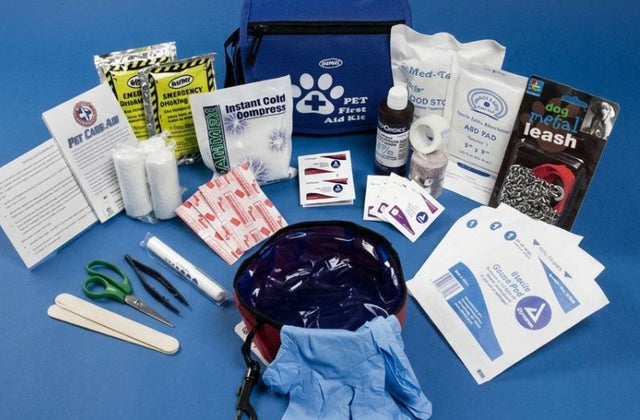 What Should Be in a Pet Emergency Kit?