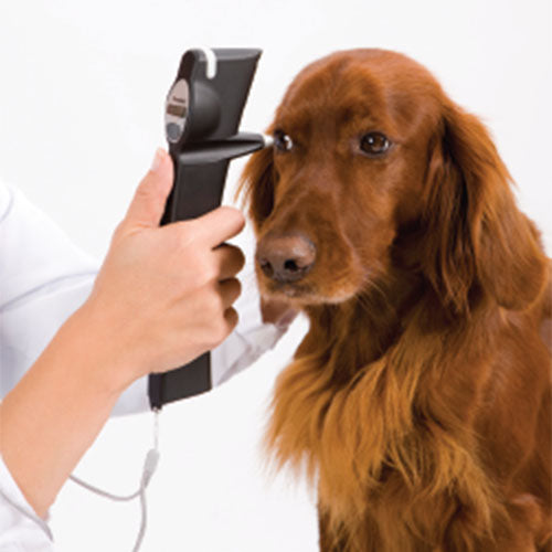 Veterinary Products