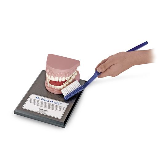 Oral Hygiene Education