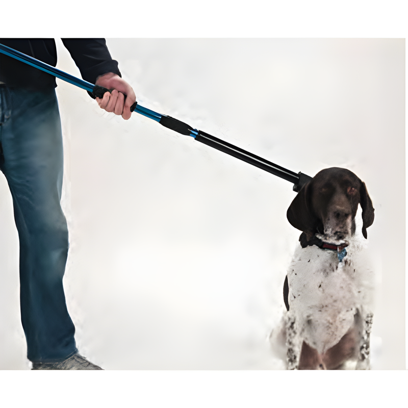 Animal Control & Restraint