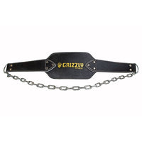 Power Systems Grizzly Fitness Leather Dip Belt — for Fitness Accessories in Clinical and Institutional Care