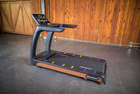 SportsArt T676 Status Eco-Natural Treadmill — for Gait Training and Conditioning