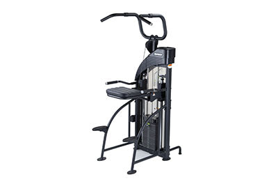 SportsArt DF-307/P711 Performance Dual Function Chin-Up/Tricep Dip — for Fitness Equipment in Clinical and Institutional Care