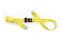 Life Fitness SciFit Accessory, Seat Belt for All Premium Seats (Except Total Body Recumbent Elliptical) — for Cardiovascular Conditioning