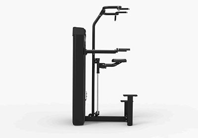 Spirit Dual, CSD-PUDA Pull Up/Dip Assist — for Fitness Equipment in Clinical and Institutional Care
