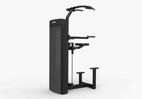 Spirit Dual, CSD-PUDA Pull Up/Dip Assist — for Fitness Equipment in Clinical and Institutional Care