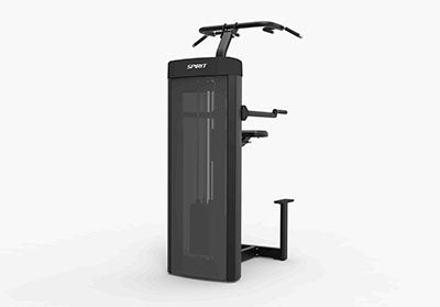 Spirit Dual, CSD-PUDA Pull Up/Dip Assist — for Fitness Equipment in Clinical and Institutional Care