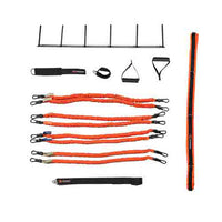 Stroops Spine Strap — for Resistance Training and Rehabilitation