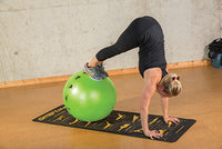 Prism Fitness Smart Stability Ball Wall Mounted Commercial Package — for Core Strength and Balance Training