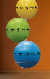 Prism Fitness Smart Stability Ball Rack (Rack Only) — for Core Strength and Balance Training