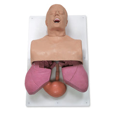 Heartsmart Adult Airway Management Trainer