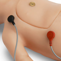 Heartsmart Life/form CHARLIE Neonatal Resuscitation Simulator