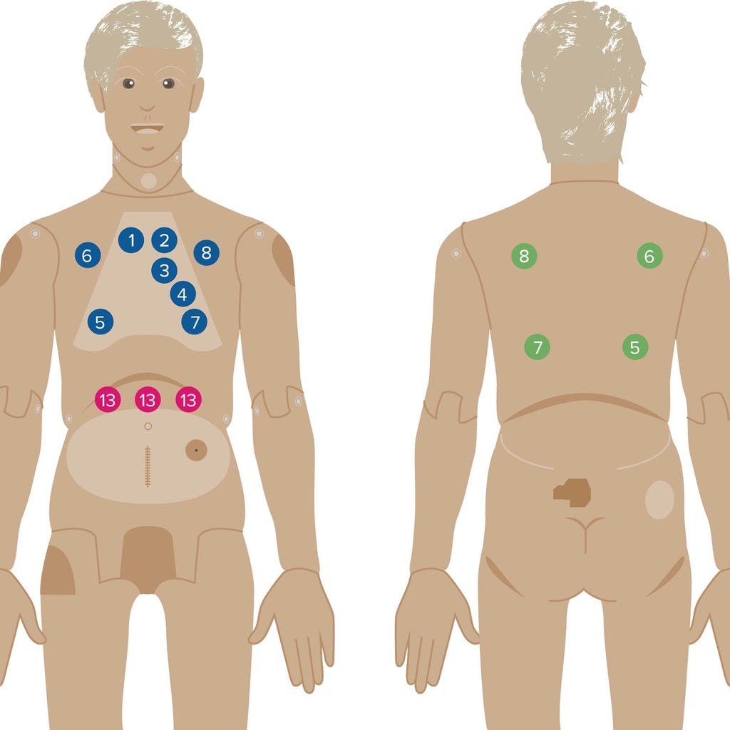 3B Scientific Nikki Nursing Manikin with Auscultation / Patient Care & Auscultation Simulation