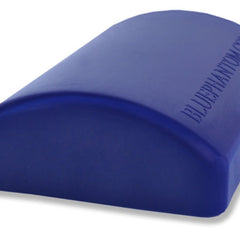 Heartsmart Blue Phantom Soft Tissue Biopsy Ultrasound Medical Training Block Model