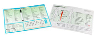 Acuity Medical EZ Communication Board, Spanish Word Board — for Communication Boards in Clinical and Institutional Care