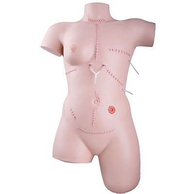 3B Scientific Wound care / bandaging technique trainer — for Medical Simulators in Clinical and Institutional Care