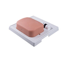 3B Scientific SONOtrain Gallbladder model — for Medical Simulators in Clinical and Institutional Care