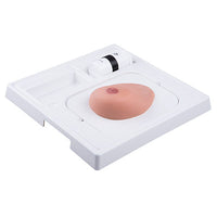 3B Scientific SONOtrain Breast model with cysts — for Medical Simulators in Clinical and Institutional Care