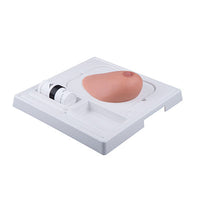 3B Scientific SONOtrain Breast with Tumors — for Medical Simulators in Clinical and Institutional Care