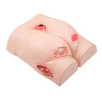 3B Scientific Decubitus trainer — for Medical Simulators in Clinical and Institutional Care