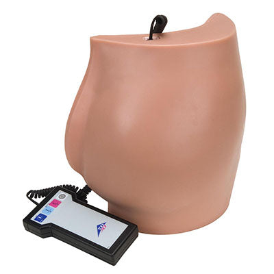 3B Scientific Buttock injection simulator — for Medical Simulators in Clinical and Institutional Care