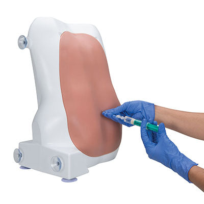 3B Scientific Epidural and spinal injection Simulator — for Medical Simulators in Clinical and Institutional Care