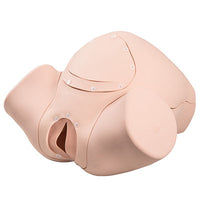 3B Scientific Birthsimulator Basic P90B — for Medical Simulators in Clinical and Institutional Care