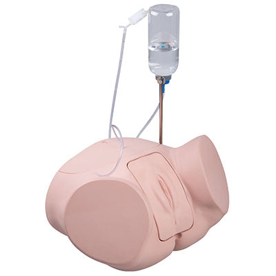 3B Scientific Catheterization simulator PRO, Female — for Medical Simulators in Clinical and Institutional Care