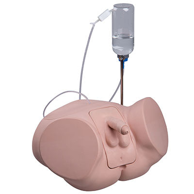 3B Scientific Catheterization simulator PRO, Male — for Medical Simulators in Clinical and Institutional Care